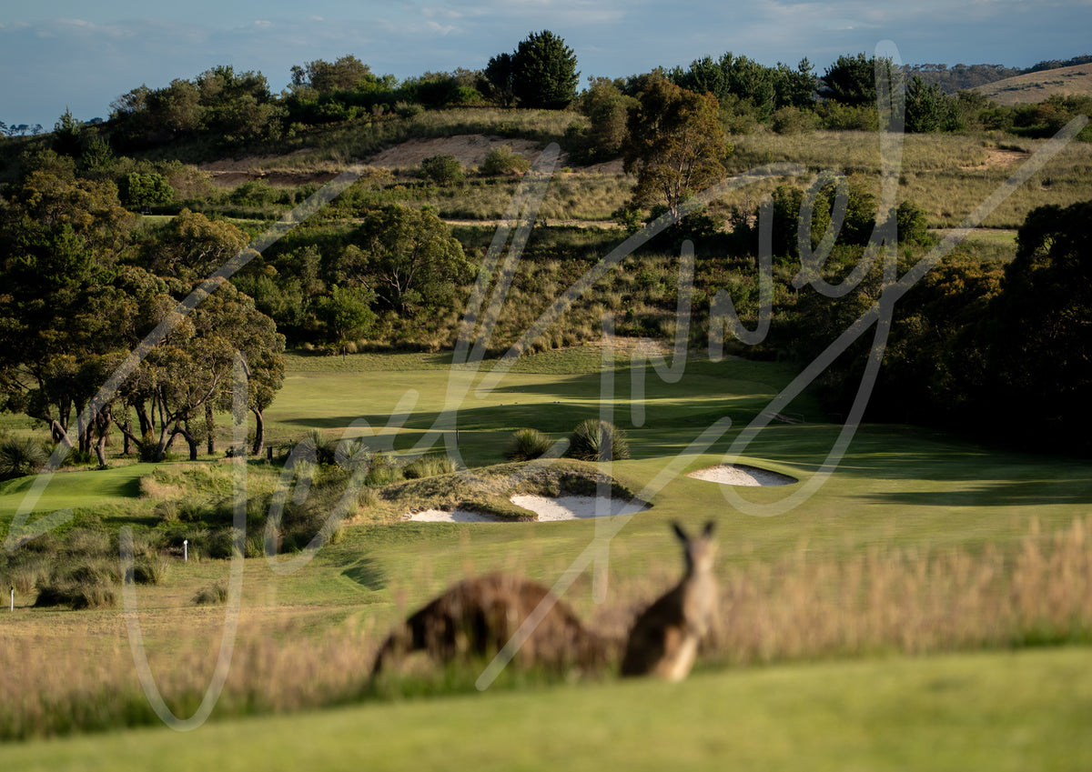 Mt Compass Kangaroos 10th Hole
